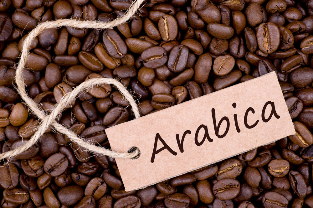 Sort molotogo kofe Arabika